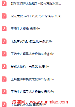 最全近百部整套太极拳详细视频教程-喵喵